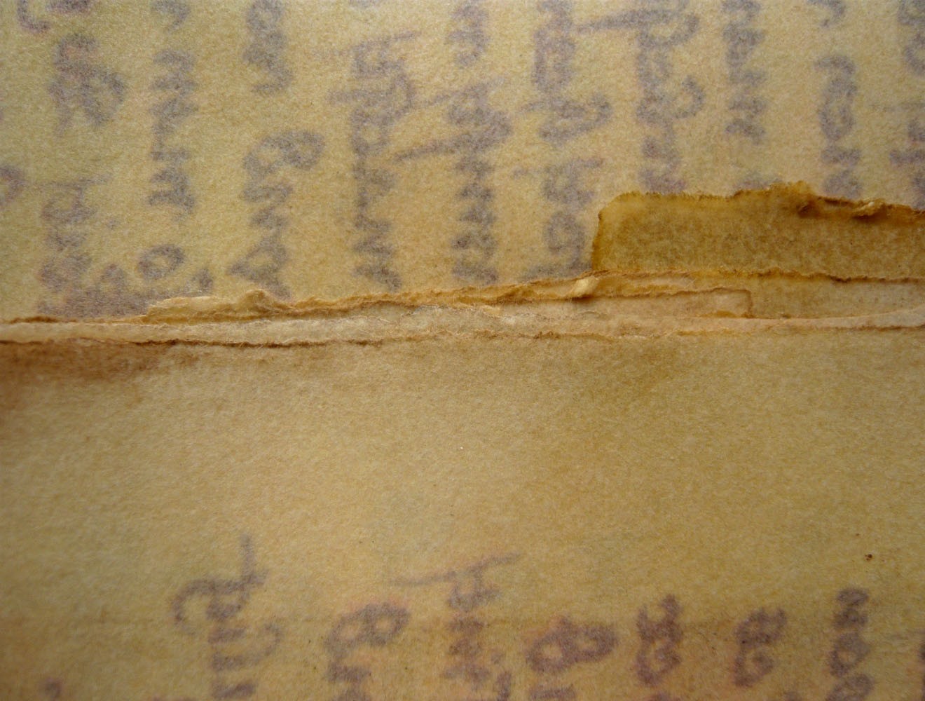 Spezialrequisite // Kolumbusbriefe auf Pergament (um 1480)